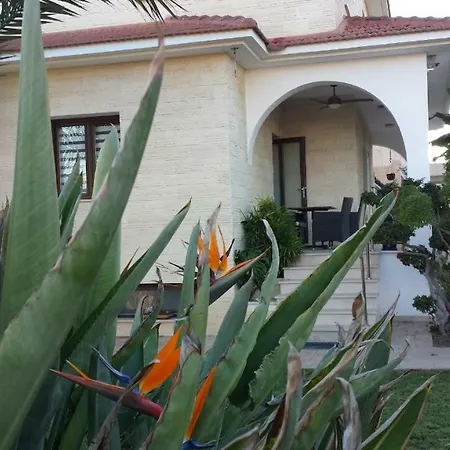 Superb Entire Basement Pyla